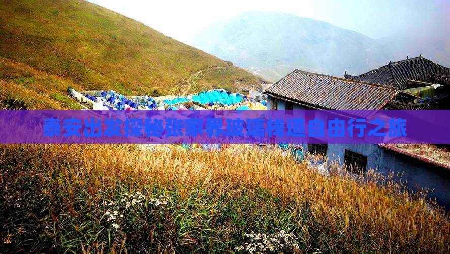 泰安出发探秘张家界玻璃栈道自由行之旅