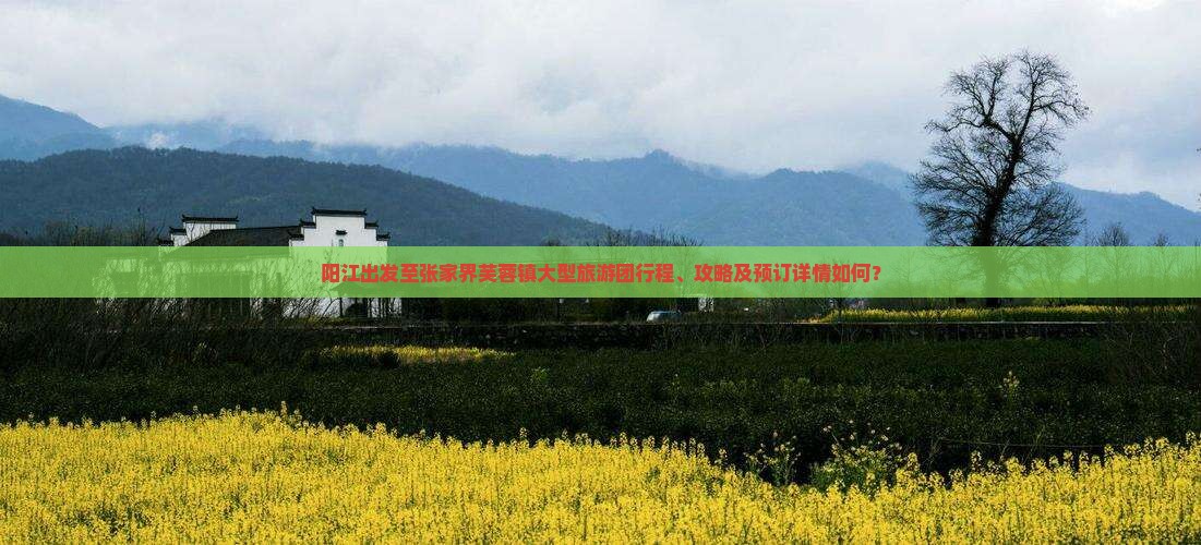 阳江出发至张家界芙蓉镇大型旅游团行程、攻略及预订详情如何？
