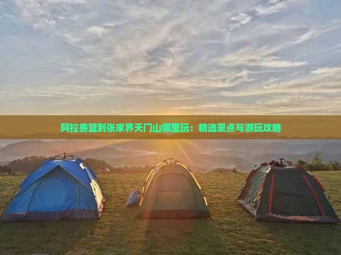 阿拉善盟到张家界天门山哪里玩：精选景点与游玩攻略