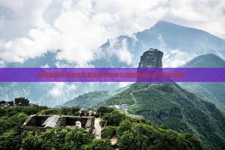 如何规划从肇庆出发至张家界森林公园的团体旅游行程与攻略？