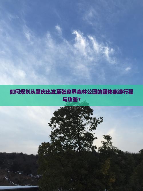 如何规划从肇庆出发至张家界森林公园的团体旅游行程与攻略？