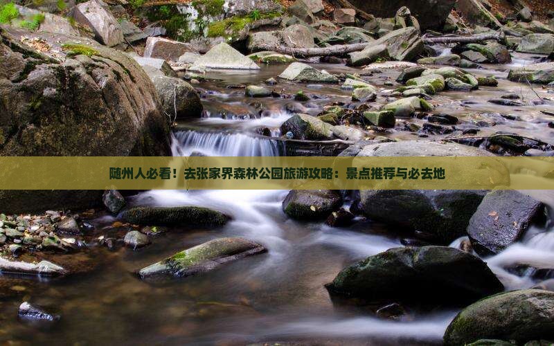 随州人必看！去张家界森林公园旅游攻略：景点推荐与必去地