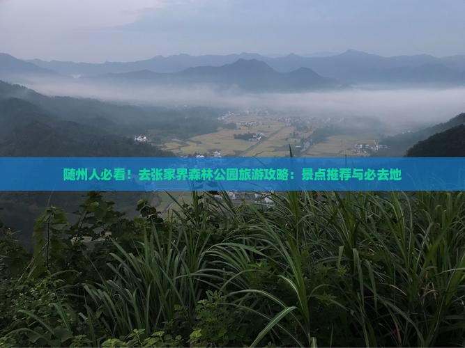 随州人必看！去张家界森林公园旅游攻略：景点推荐与必去地