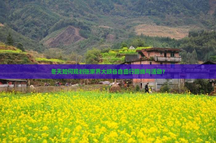 冬天如何规划张家界大峡谷自由行路线与活动？