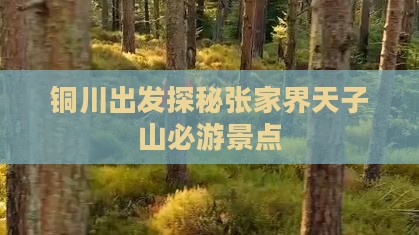 铜川出发探秘张家界天子山必游景点