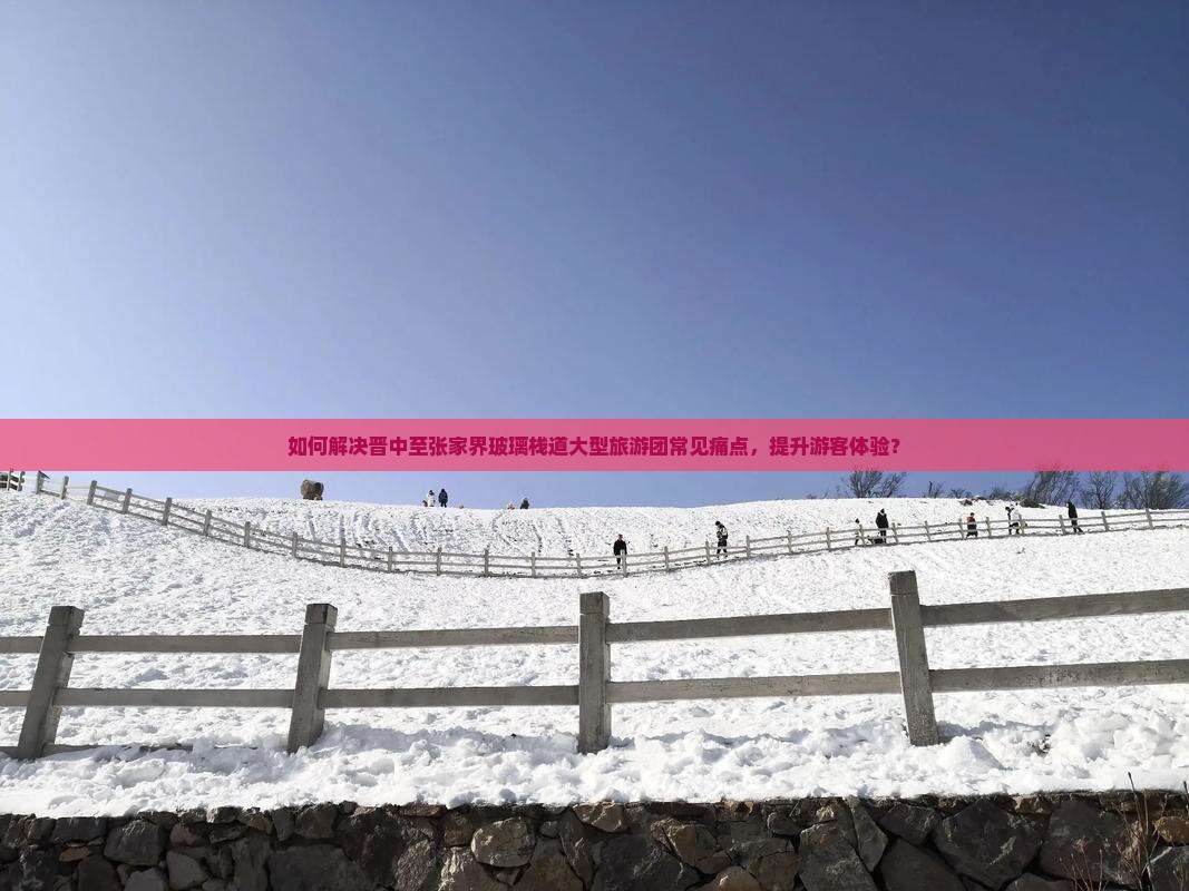 如何解决晋中至张家界玻璃栈道大型旅游团常见痛点，提升游客体验？