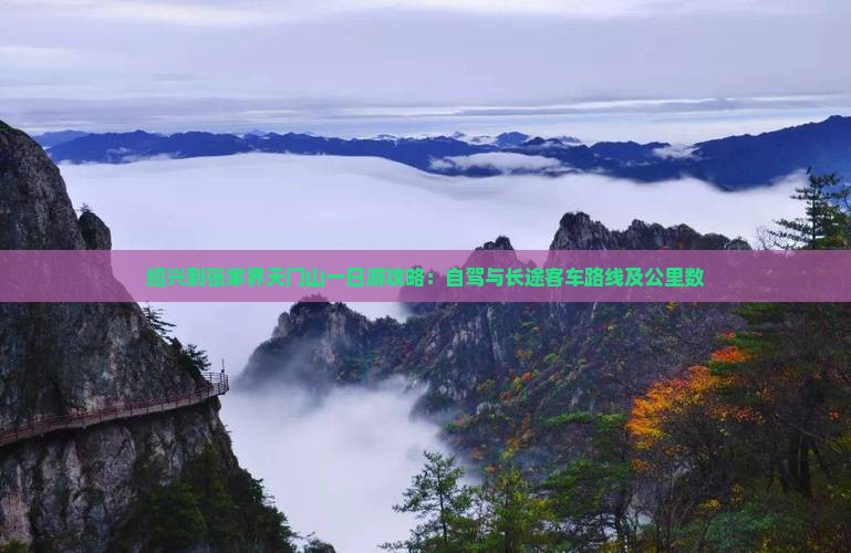 绍兴到张家界天门山一日游攻略：自驾与长途客车路线及公里数