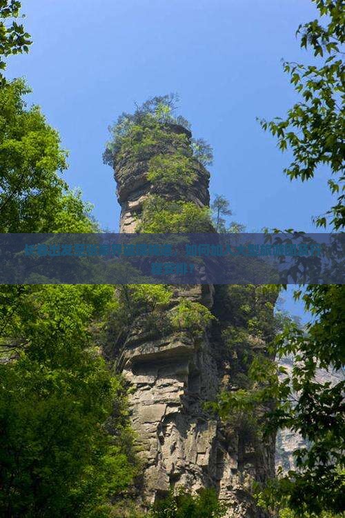 长春出发至张家界玻璃栈道，如何加入大型旅游团及行程安排？