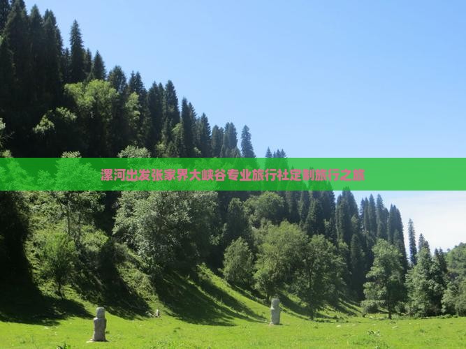 漯河出发张家界大峡谷专业旅行社定制旅行之旅
