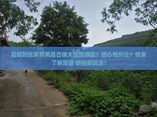 昌都到张家界凤凰古城大型旅游团？担心性价比？快来了解露营+旅拍新玩法！