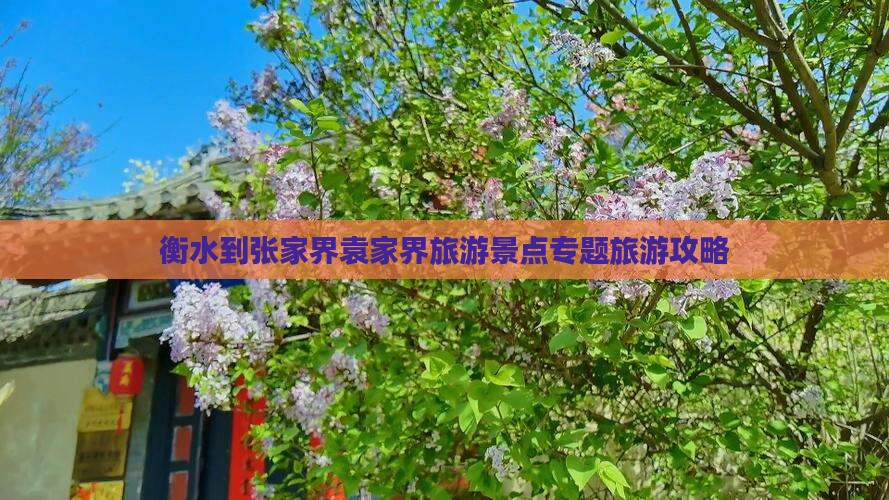 衡水到张家界袁家界旅游景点专题旅游攻略
