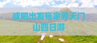 咸阳出发张家界天门山四日游