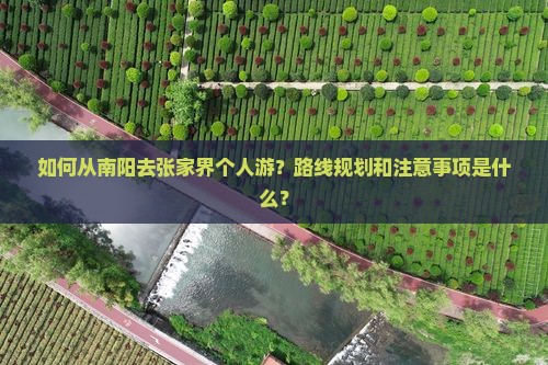 如何从南阳去张家界个人游？路线规划和注意事项是什么？