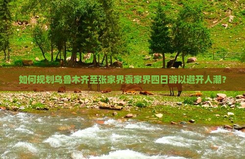 如何规划乌鲁木齐至张家界袁家界四日游以避开人潮？