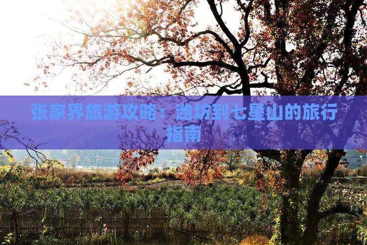 张家界旅游攻略：潍坊到七星山的旅行指南