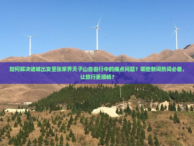 如何解决诸城出发至张家界天子山自由行中的痛点问题？哪些新词热词必备，让旅行更顺畅？