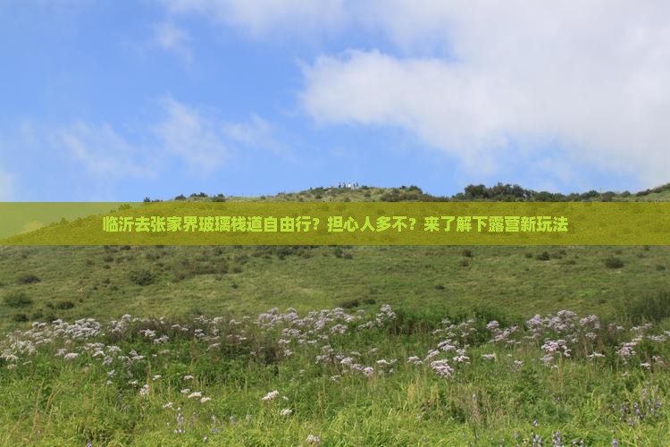 临沂去张家界玻璃栈道自由行？担心人多不？来了解下露营新玩法