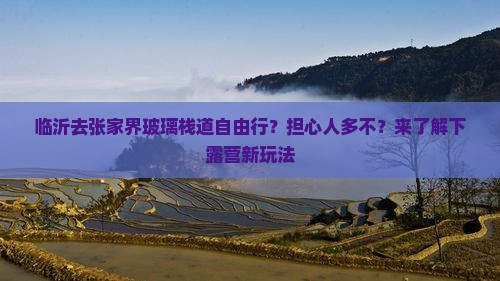 临沂去张家界玻璃栈道自由行？担心人多不？来了解下露营新玩法