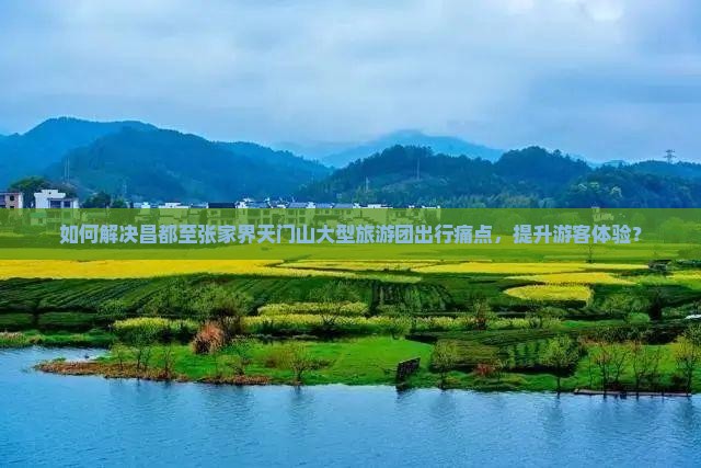 如何解决昌都至张家界天门山大型旅游团出行痛点，提升游客体验？