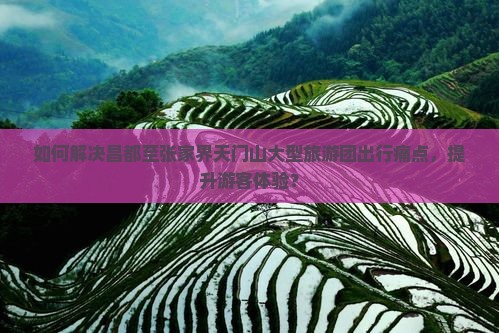 如何解决昌都至张家界天门山大型旅游团出行痛点，提升游客体验？