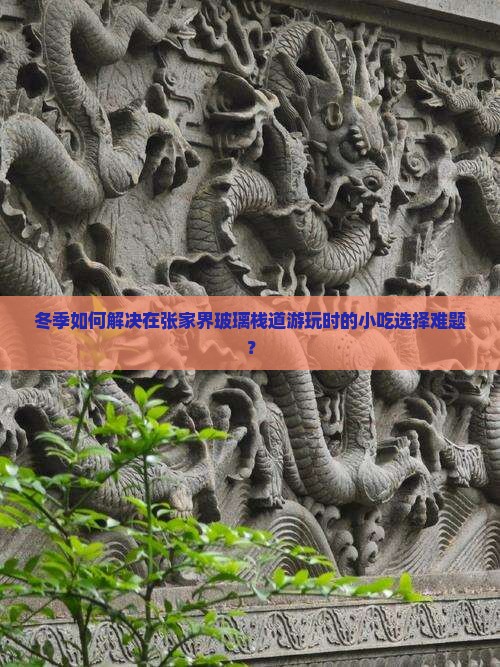 冬季如何解决在张家界玻璃栈道游玩时的小吃选择难题？