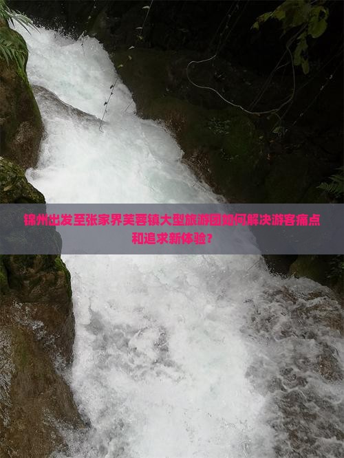 锦州出发至张家界芙蓉镇大型旅游团如何解决游客痛点和追求新体验？