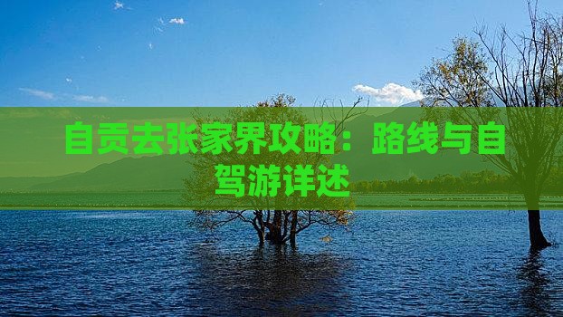 自贡去张家界攻略：路线与自驾游详述