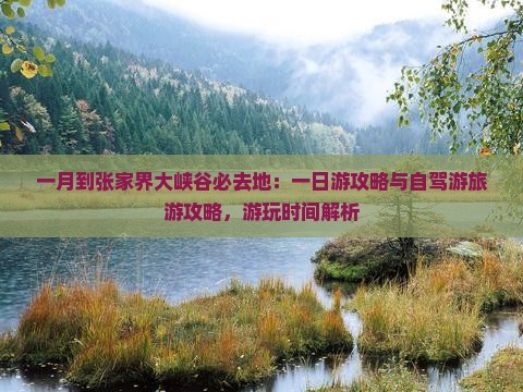 一月到张家界大峡谷必去地：一日游攻略与自驾游旅游攻略，游玩时间解析