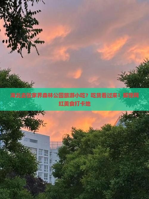 海北去张家界森林公园旅游小吃？吃货看过来！解馋网红美食打卡地