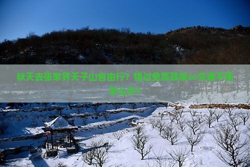 秋天去张家界天子山自由行？错过免票政策or交通不便怎么办？