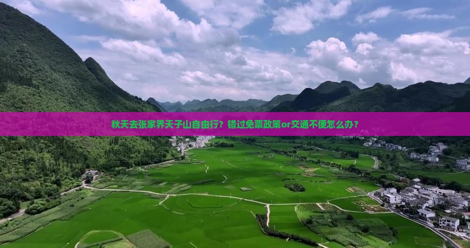 秋天去张家界天子山自由行？错过免票政策or交通不便怎么办？