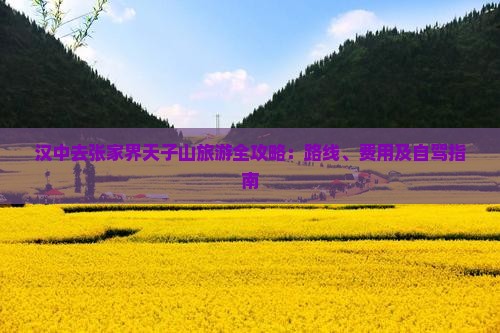 汉中去张家界天子山旅游全攻略：路线、费用及自驾指南