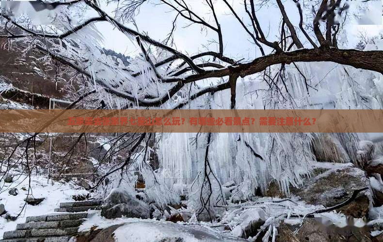 五家渠去张家界七星山怎么玩？有哪些必看景点？需要注意什么？