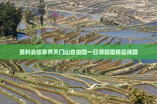 垦利去张家界天门山自由团一日游超值精品线路