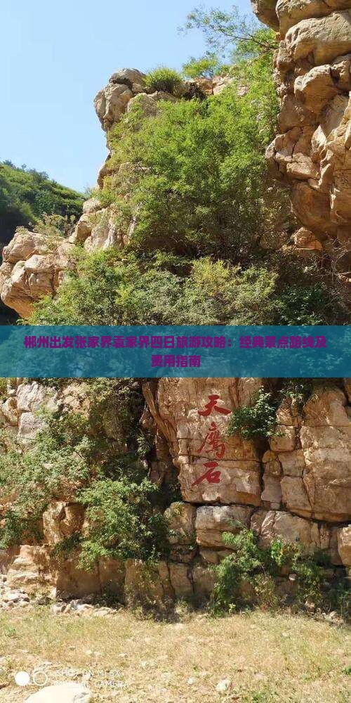 郴州出发张家界袁家界四日旅游攻略：经典景点路线及费用指南