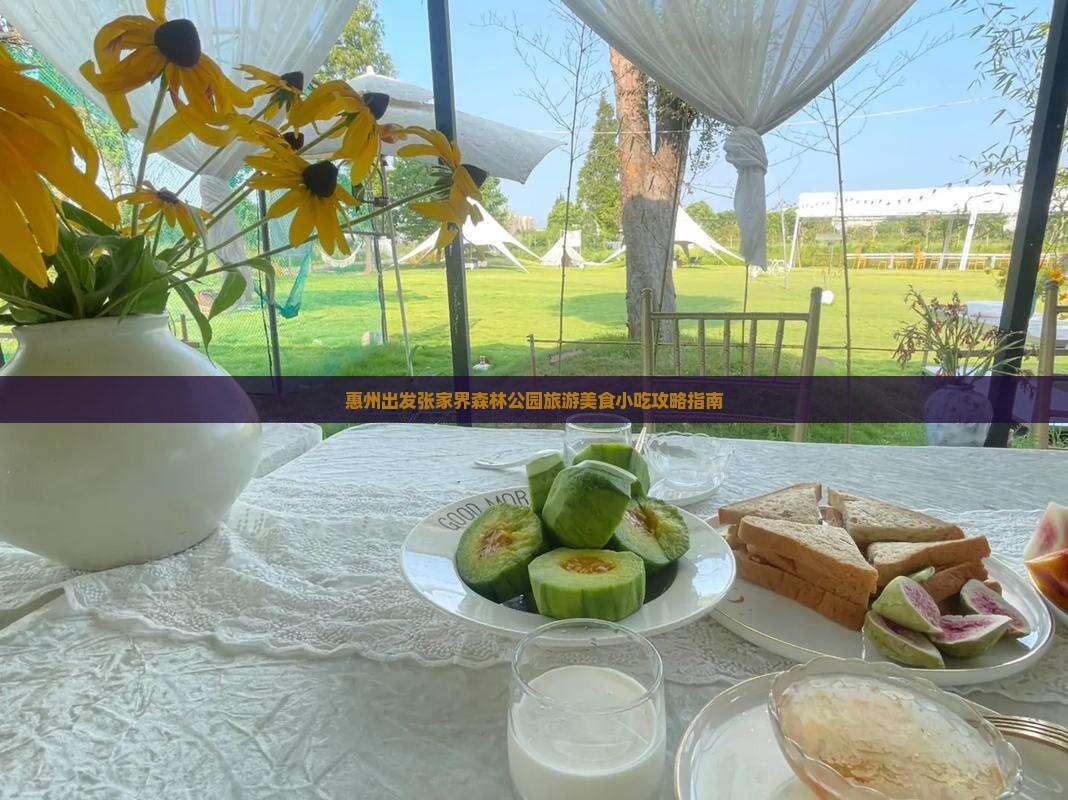惠州出发张家界森林公园旅游美食小吃攻略指南