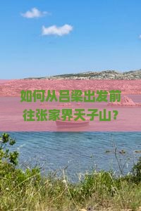 如何从吕梁出发前往张家界天子山？吕梁至天子山旅游攻略与交通方式解析