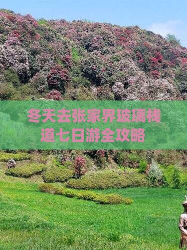 冬天去张家界玻璃栈道七日游全攻略