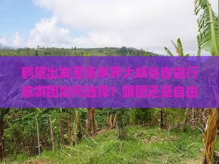 鹤壁出发至张家界大峡谷自由行旅游团如何选择？跟团还是自由行更合适？