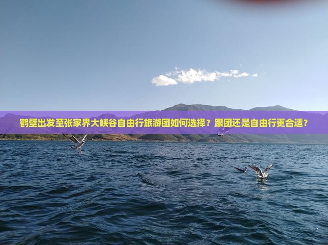 鹤壁出发至张家界大峡谷自由行旅游团如何选择？跟团还是自由行更合适？