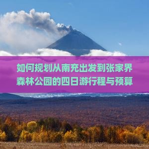如何规划从南充出发到张家界森林公园的四日游行程与预算？