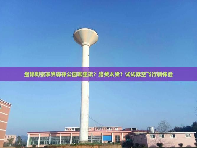 盘锦到张家界森林公园哪里玩？路费太贵？试试低空飞行新体验