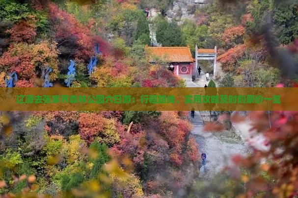 辽源去张家界森林公园六日游:行程路线、实用攻略及时刻票价一览 辽源去张家界森林公园六日游:行程路线、实用攻略及时刻票价一览
