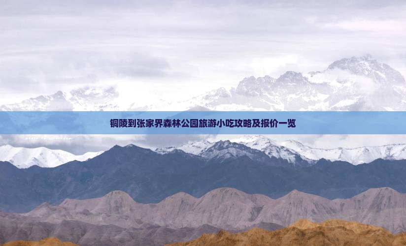 铜陵到张家界森林公园旅游小吃攻略及报价一览