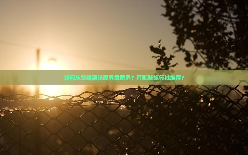 如何从楚雄到张家界袁家界？有哪些旅行社推荐？