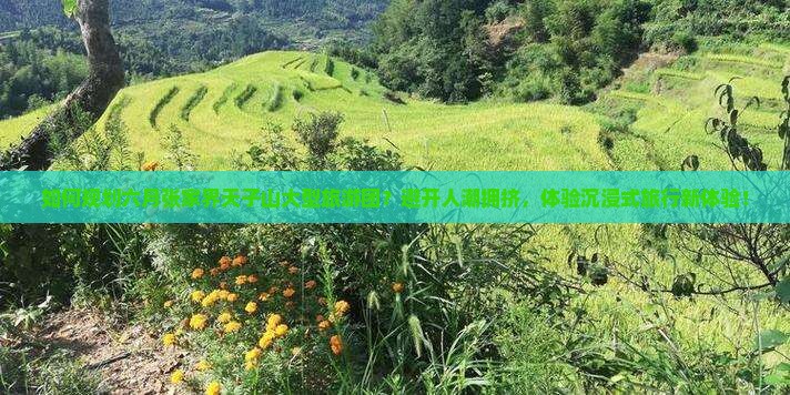如何规划六月张家界天子山大型旅游团？避开人潮拥挤，体验沉浸式旅行新体验！