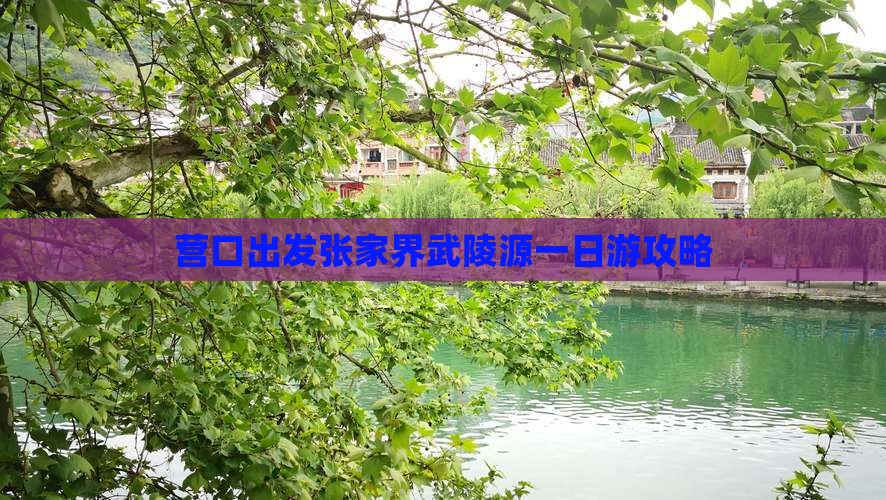 营口出发张家界武陵源一日游攻略