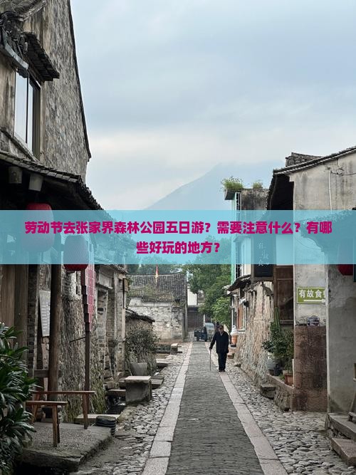 劳动节去张家界森林公园五日游？需要注意什么？有哪些好玩的地方？