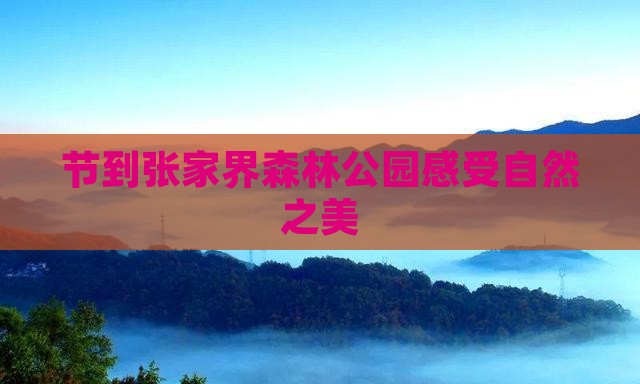 节到张家界森林公园感受自然之美