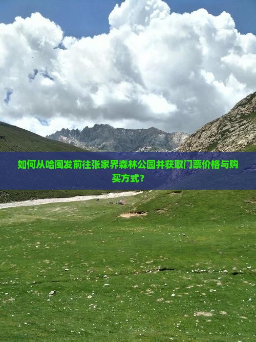 如何从哈闽发前往张家界森林公园并获取门票价格与购买方式？